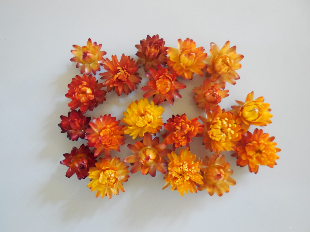Strohblumen/ klein, Orange, 2-3cm