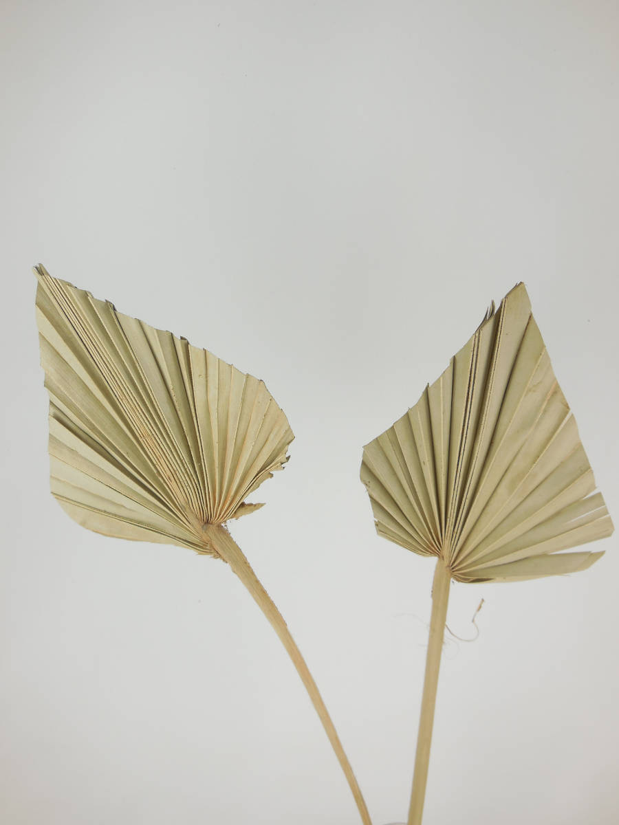 Palmblatt_Natur Palmblattherzen, Naturbraun, 8 cm, 1 Stück