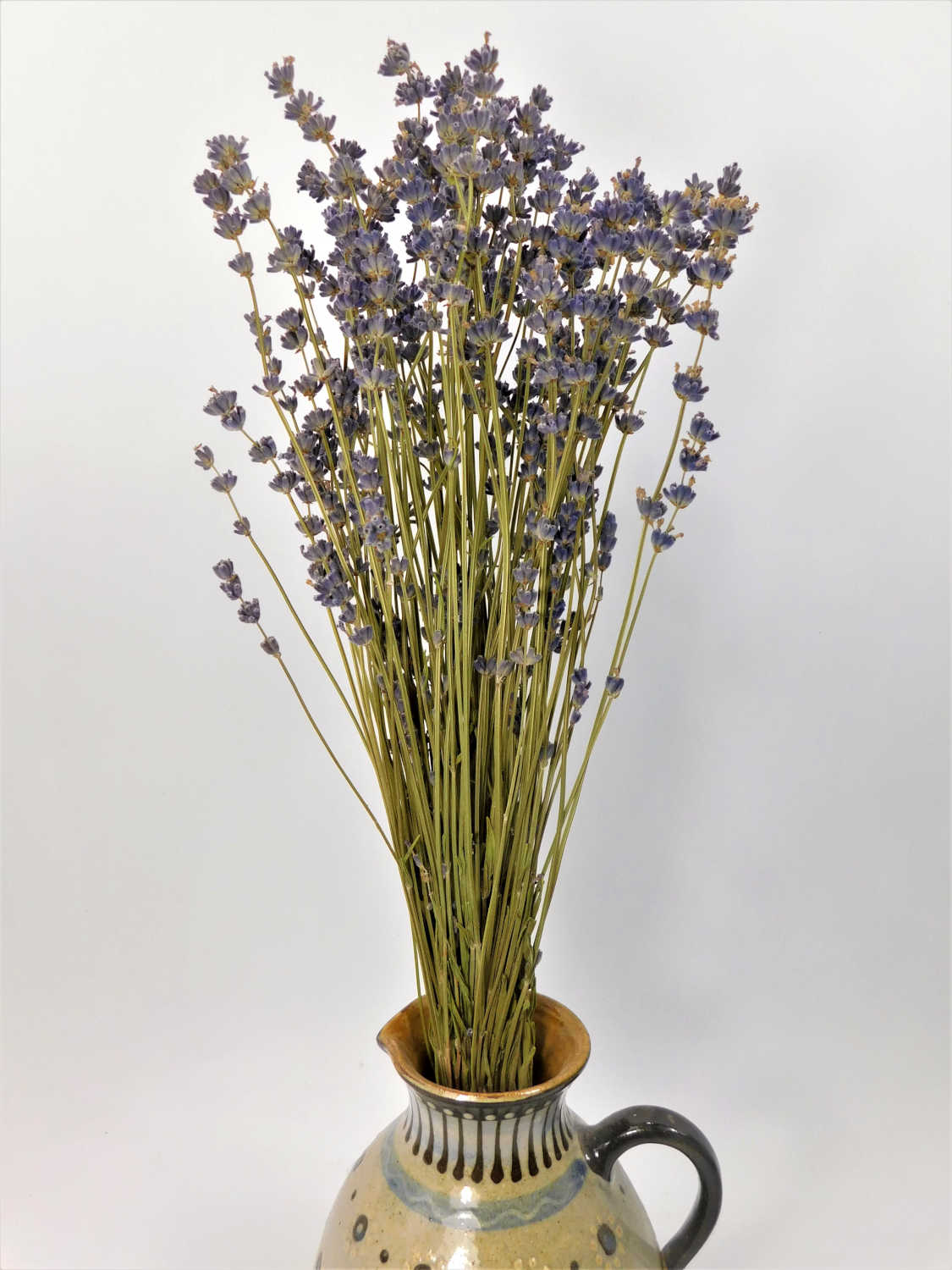 Echter Lavendel, 40- 50cm