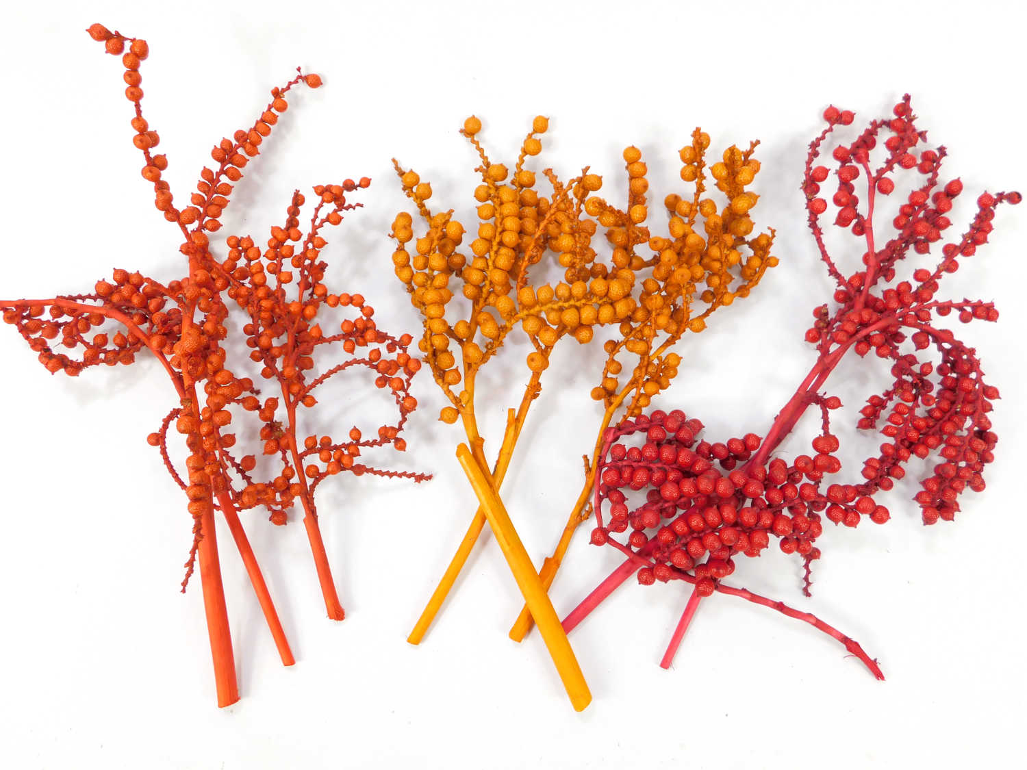 Pfefferbeeren_3-Farben