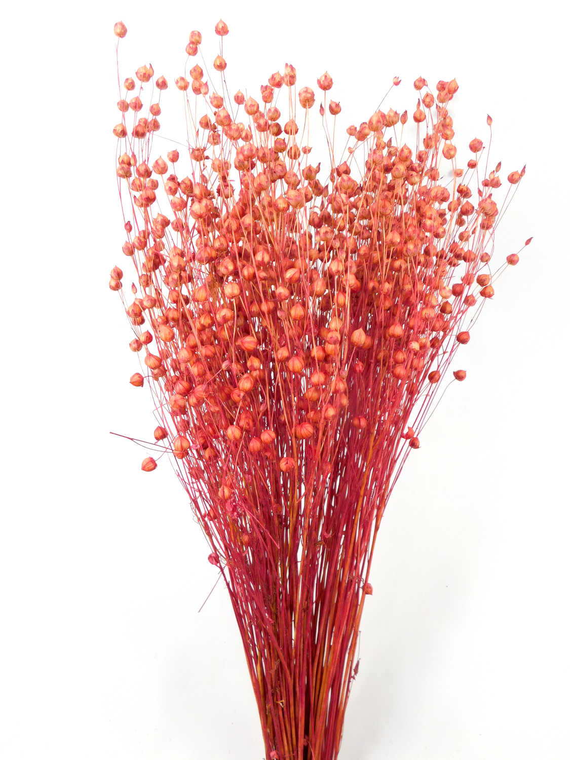 Lein / Flax, Rot, 65cm