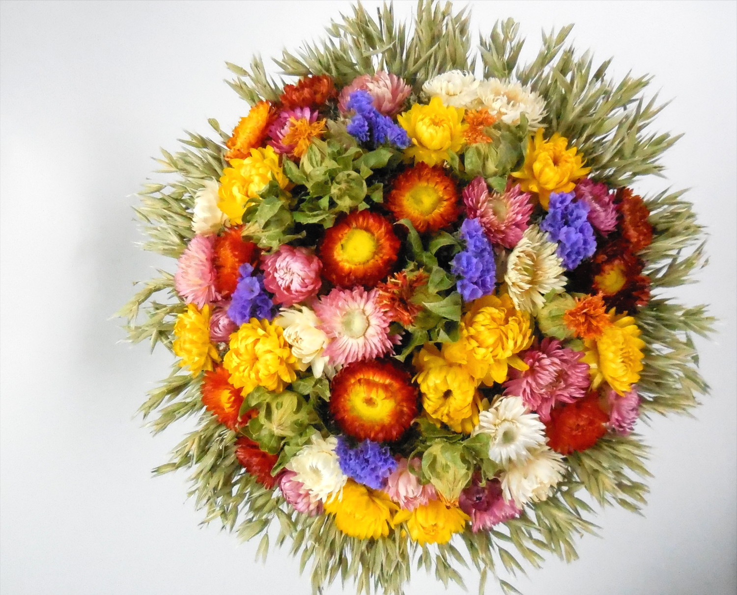 Strohblumenstrauß mit Hafer, 15❘20❘25❘30cm