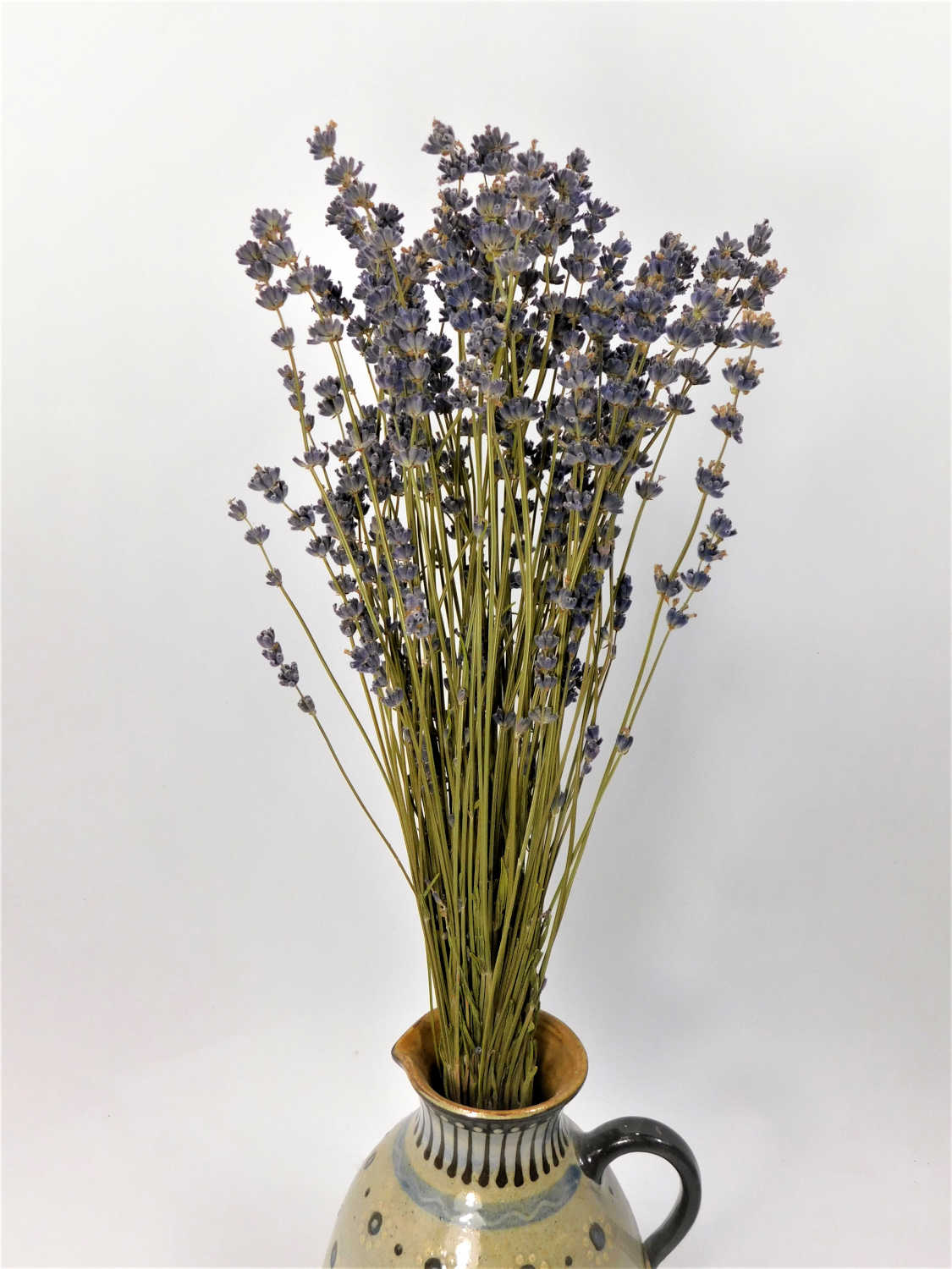 Echter Lavendel, 40- 45cm