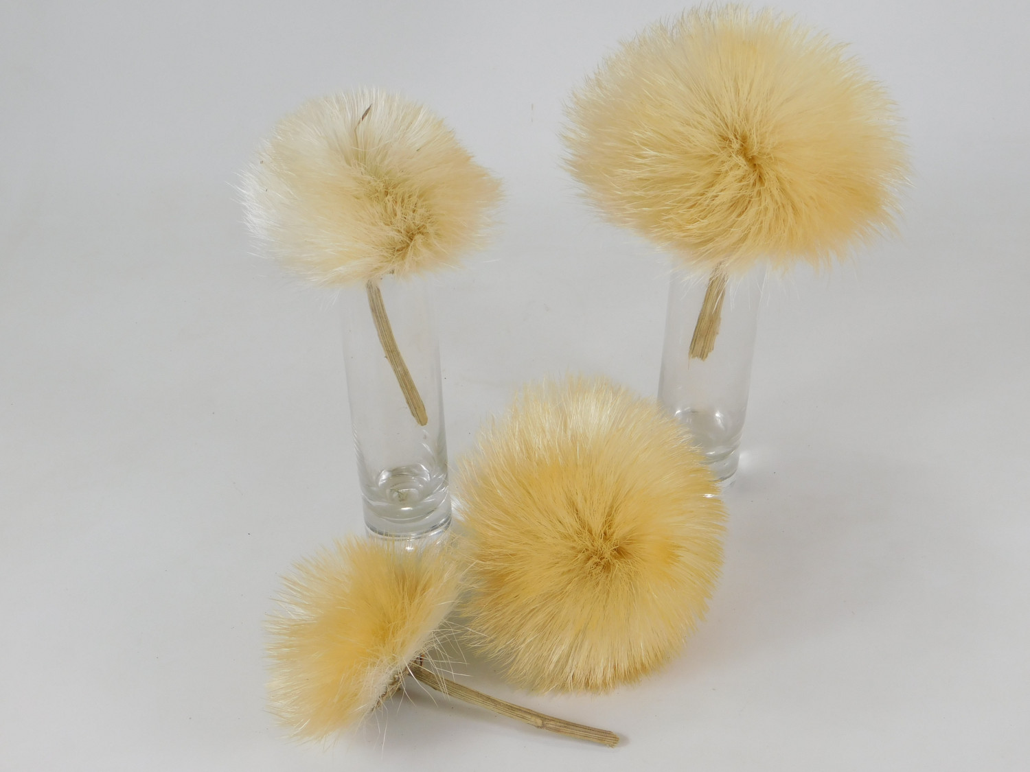 Artischocke, 12 cm