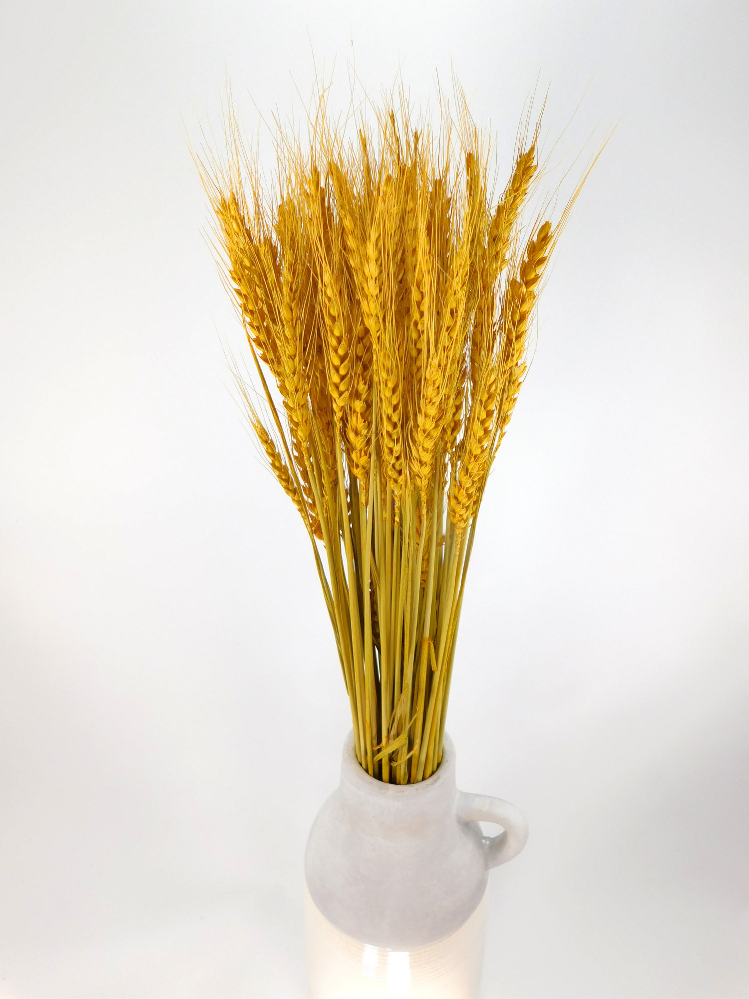 Weizen_Gelb_70cm